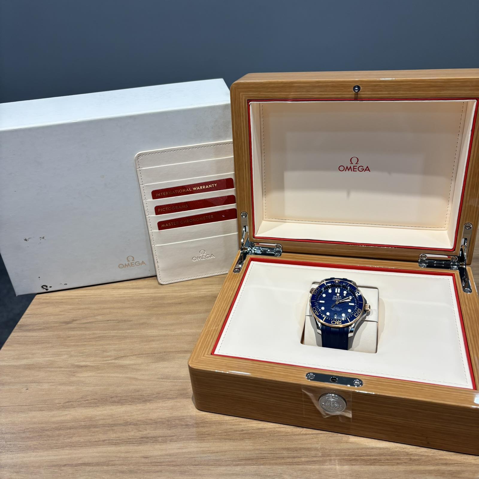 OmegaSEAMASTER 210.22.42.20.03.002