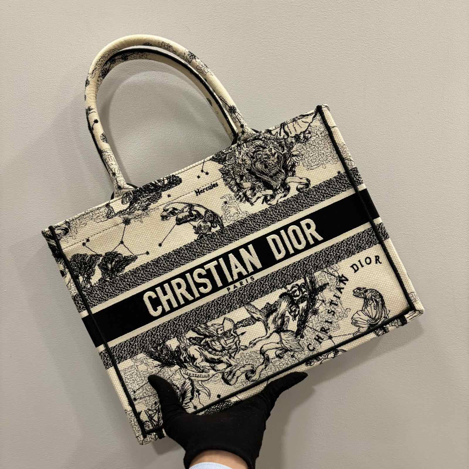 DiorBOOK TOTE HERCULES 50-MA0272